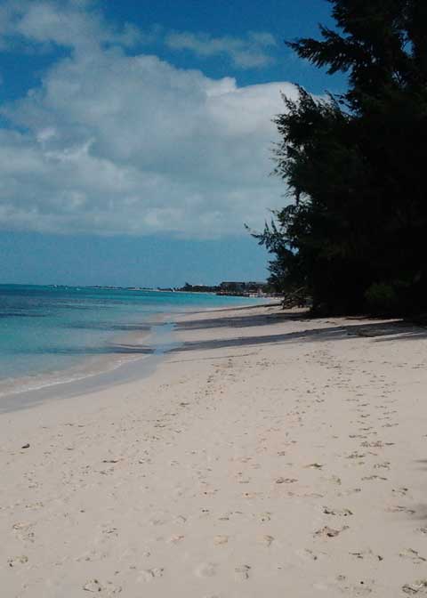 A sunny beach